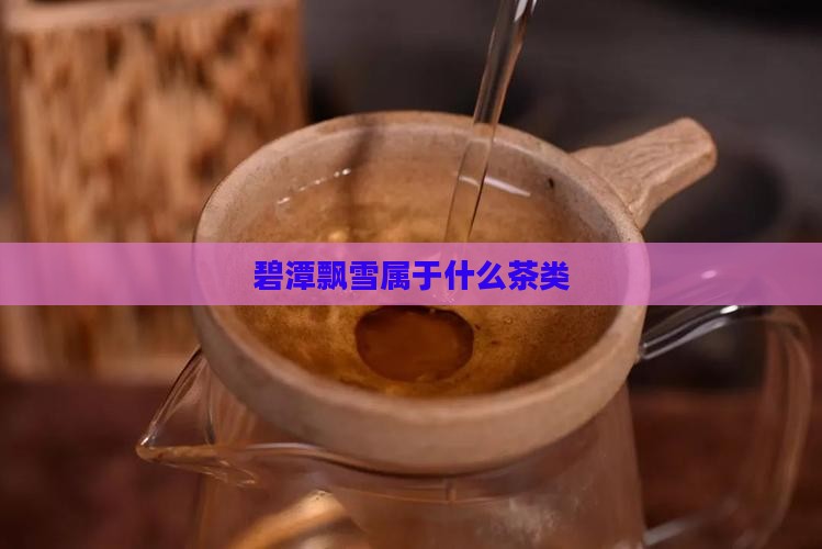 碧潭飘雪属于什么茶类