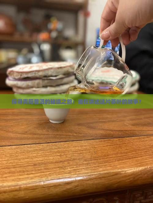 探寻贵阳普洱的秘境之旅：谁在讲述这片茶叶的故事？