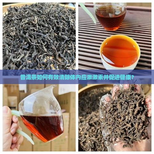 普洱茶如何有效清除体内应激激素并促进健康？