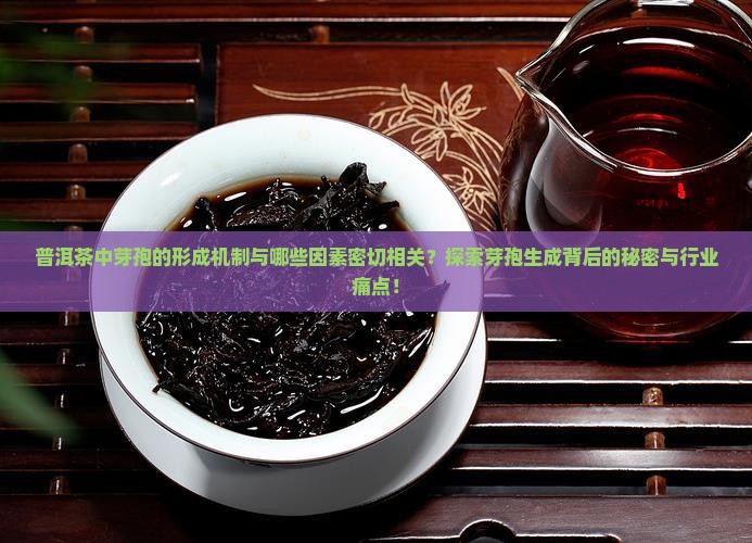 普洱茶中芽孢的形成机制与哪些因素密切相关？探索芽孢生成背后的秘密与行业痛点！