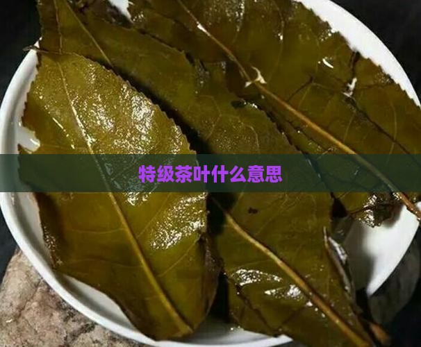 特级茶叶什么意思