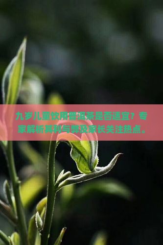 九岁儿童饮用普洱茶是否适宜？专家解析其利与弊及家长关注热点。