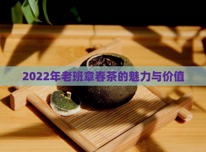 2022年老班章春茶的魅力与价值
