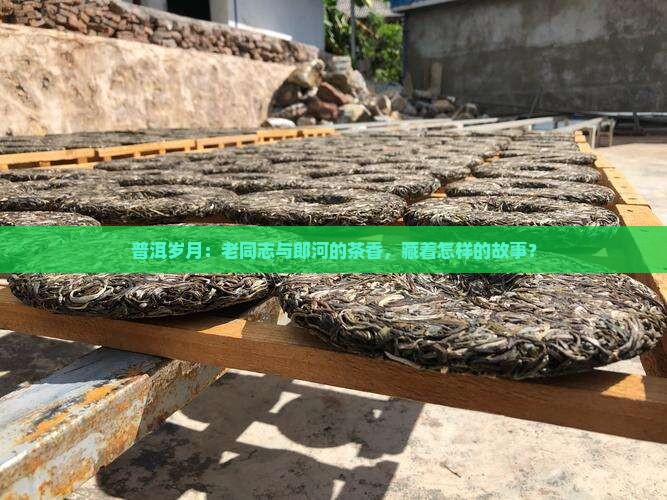 普洱岁月：老同志与郎河的茶香，藏着怎样的故事？