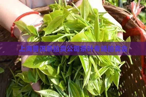 上海普洱茶拍卖公司茶叶专场拍卖会