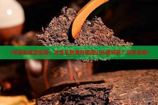 1号茶友探店实录：冰岛王到底在哪座山头藏好茶？急求答案！