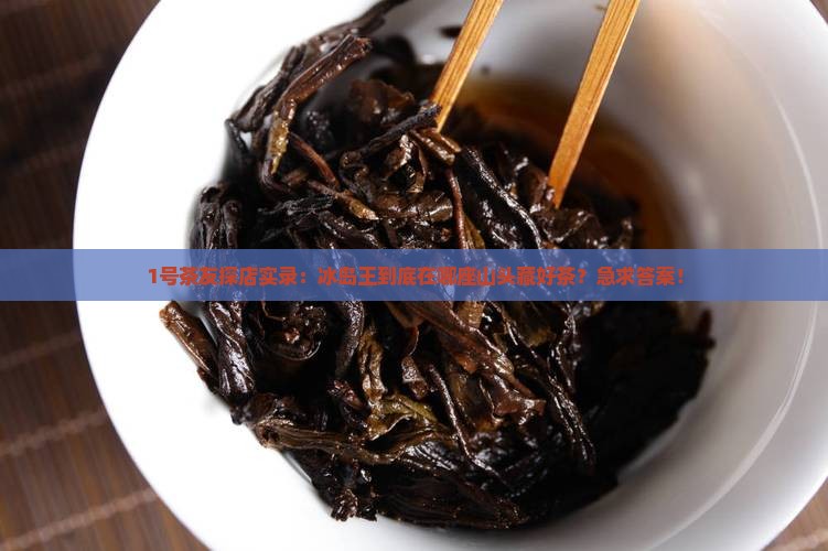 1号茶友探店实录：冰岛王到底在哪座山头藏好茶？急求答案！