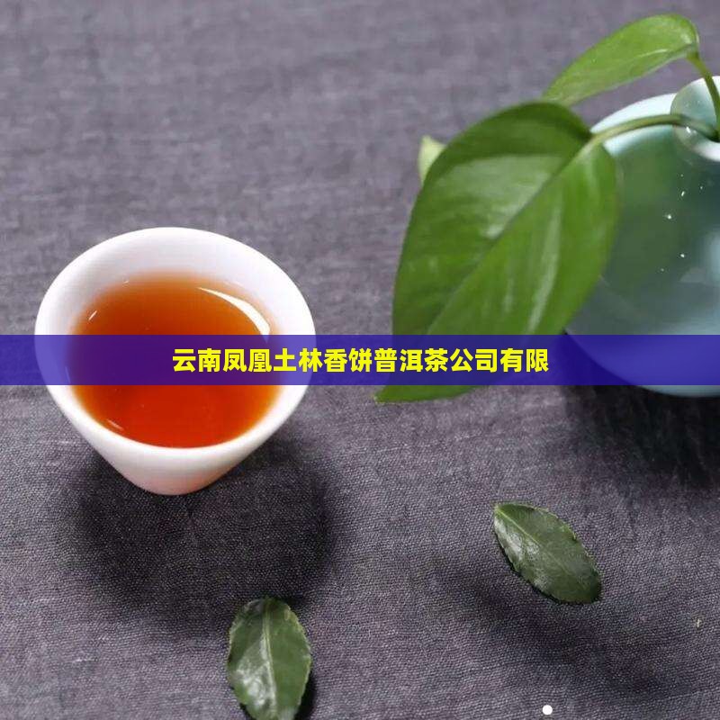 云南凤凰土林香饼普洱茶公司有限