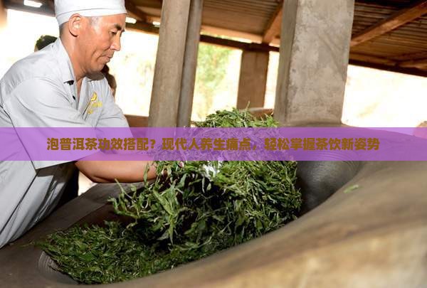 泡普洱茶功效搭配？现代人养生痛点，轻松掌握茶饮新姿势