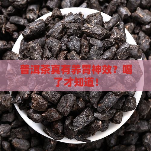 普洱茶真有养胃神效？喝了才知道！