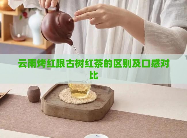 云南烤红跟古树红茶的区别及口感对比