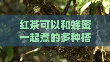 红茶可以和蜂蜜一起煮的多种搭配方式