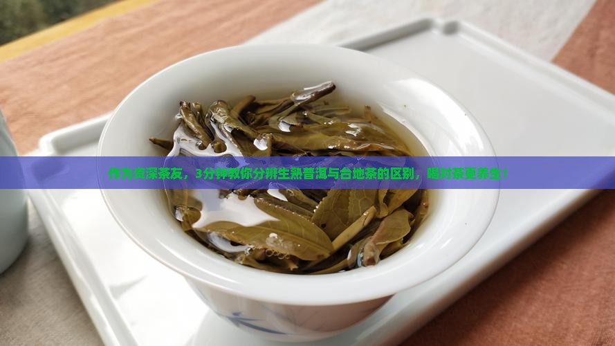 作为资深茶友，3分钟教你分辨生熟普洱与台地茶的区别，喝对茶更养生！