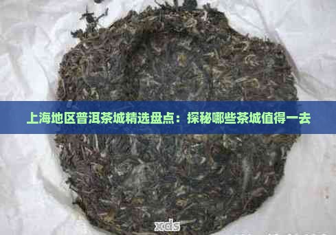 上海地区普洱茶城精选盘点：探秘哪些茶城值得一去