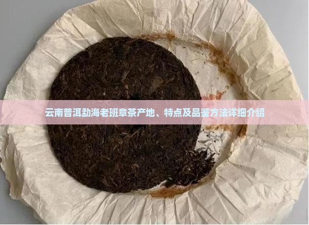 云南普洱勐海老班章茶产地、特点及品鉴方法详细介绍