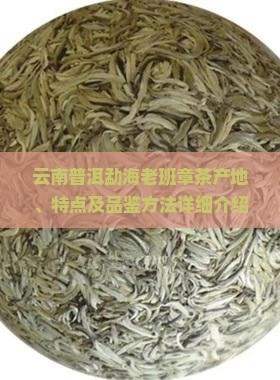 云南普洱勐海老班章茶产地、特点及品鉴方法详细介绍
