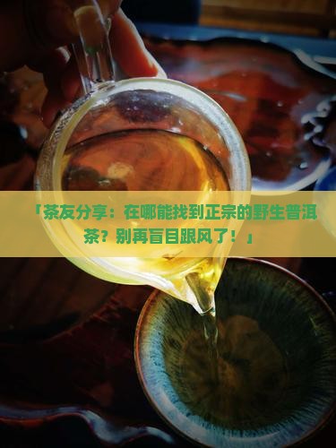 「茶友分享：在哪能找到正宗的野生普洱茶？别再盲目跟风了！」