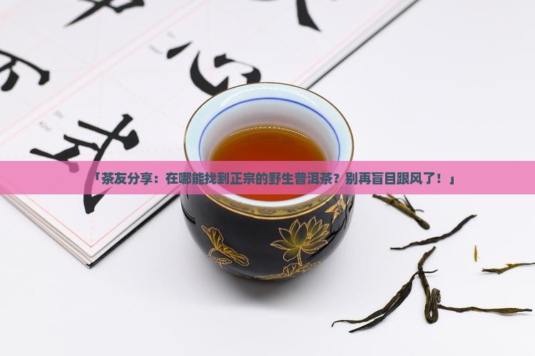 「茶友分享：在哪能找到正宗的野生普洱茶？别再盲目跟风了！」