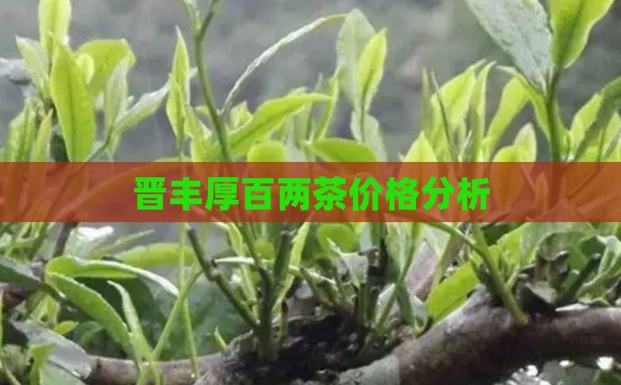 晋丰厚百两茶价格分析