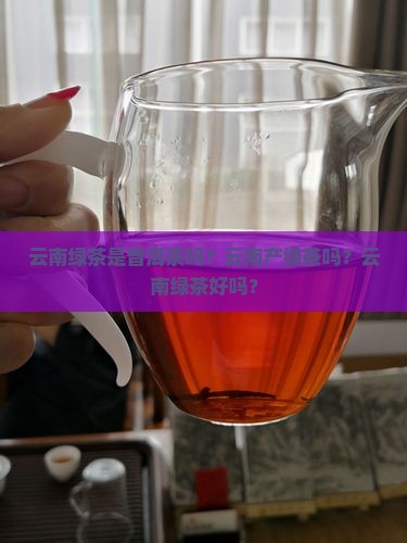 云南绿茶是普洱茶吗？云南产绿茶吗？云南绿茶好吗？