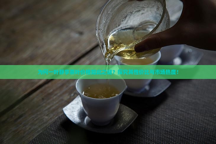 为何一叶静享茶叶价格如此之谜？探究其性价比与市场热度！