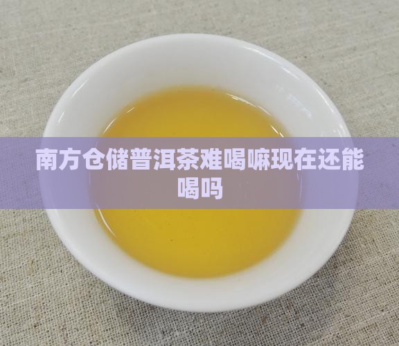 南方仓储普洱茶难喝嘛现在还能喝吗