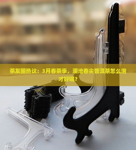 茶友圈热议：3月春茶季，澜沧春尖普洱茶怎么泡才好喝？