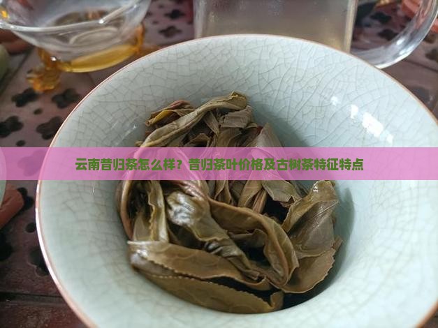 云南昔归茶怎么样？昔归茶叶价格及古树茶特征特点