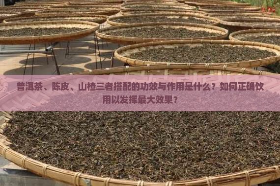 普洱茶、陈皮、山楂三者搭配的功效与作用是什么？如何正确饮用以发挥最大效果？