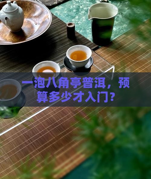 一泡八角亭普洱，预算多少才入门？