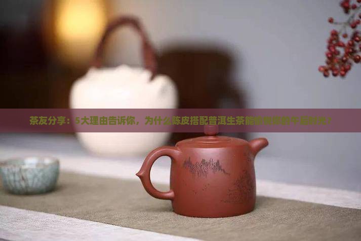 茶友分享：5大理由告诉你，为什么陈皮搭配普洱生茶能愉悦你的午后时光？