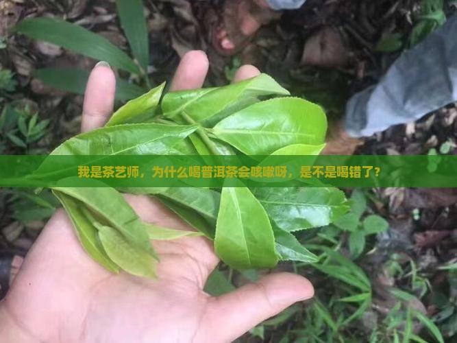 我是茶艺师，为什么喝普洱茶会咳嗽呀，是不是喝错了？