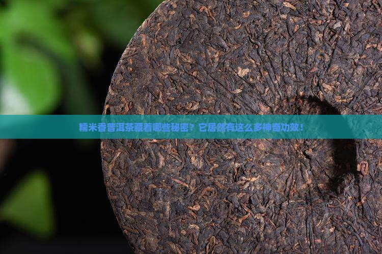糯米香普洱茶藏着哪些秘密？它居然有这么多神奇功效！