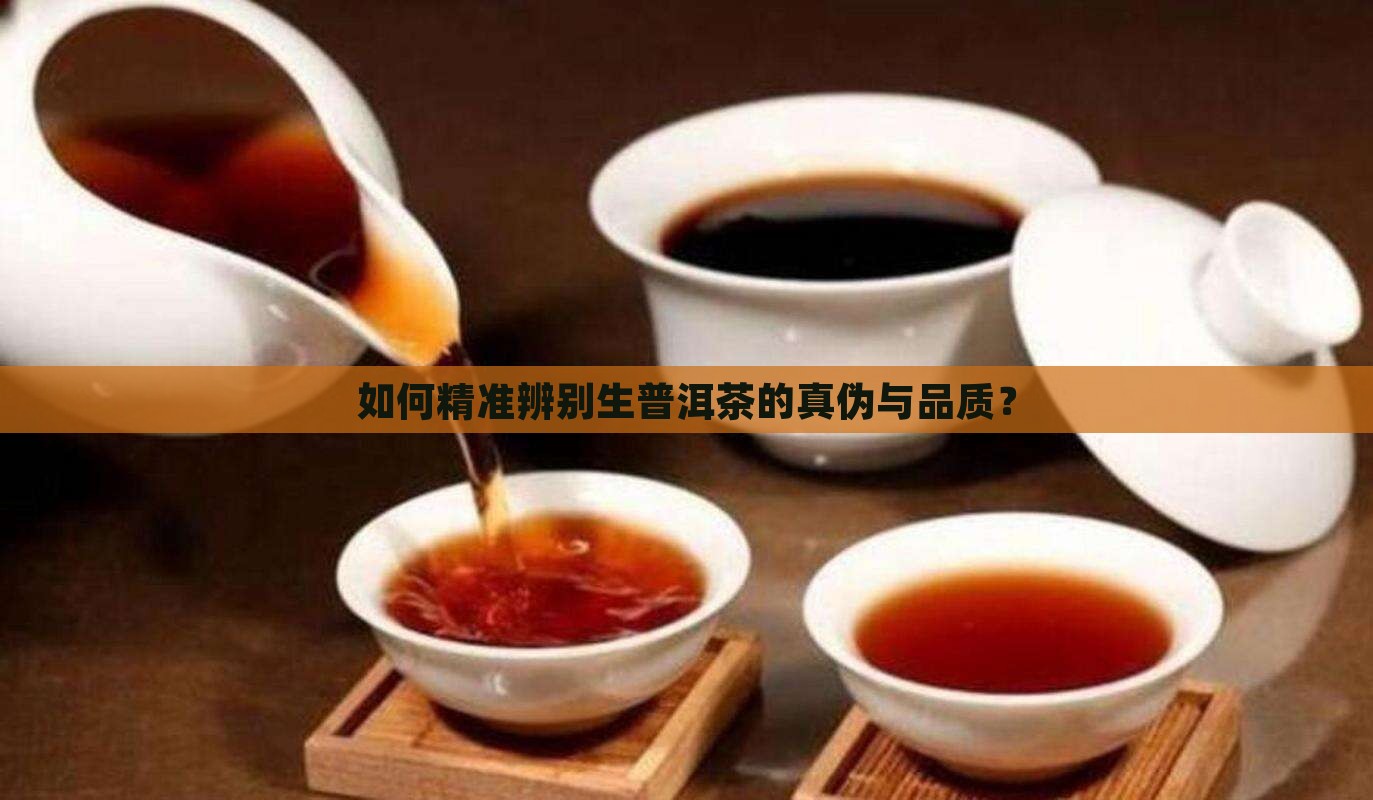如何精准辨别生普洱茶的真伪与品质？