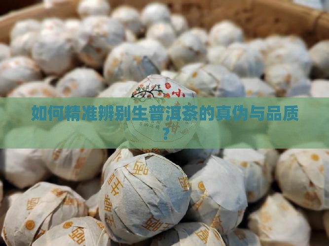如何精准辨别生普洱茶的真伪与品质？
