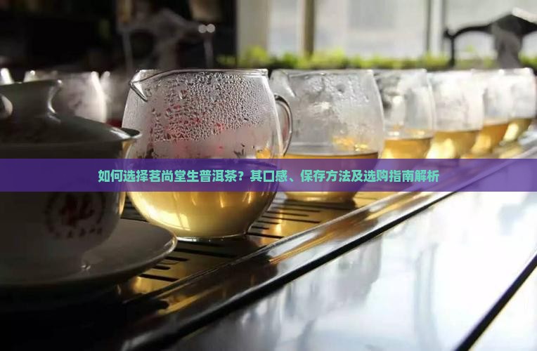 如何选择茗尚堂生普洱茶？其口感、保存方法及选购指南解析