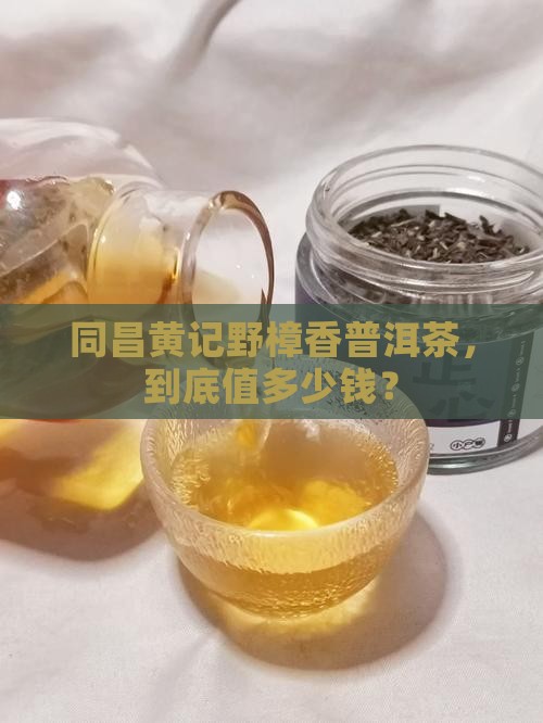 同昌黄记野樟香普洱茶，到底值多少钱？