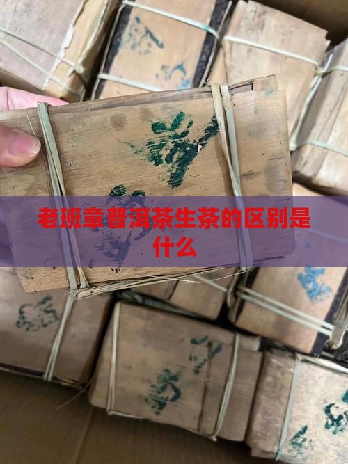 老班章普洱茶生茶的区别是什么