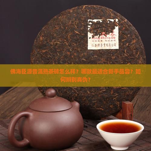 佛海臣源普洱熟茶砖怎么样？哪款最适合新手品尝？如何辨别真伪？