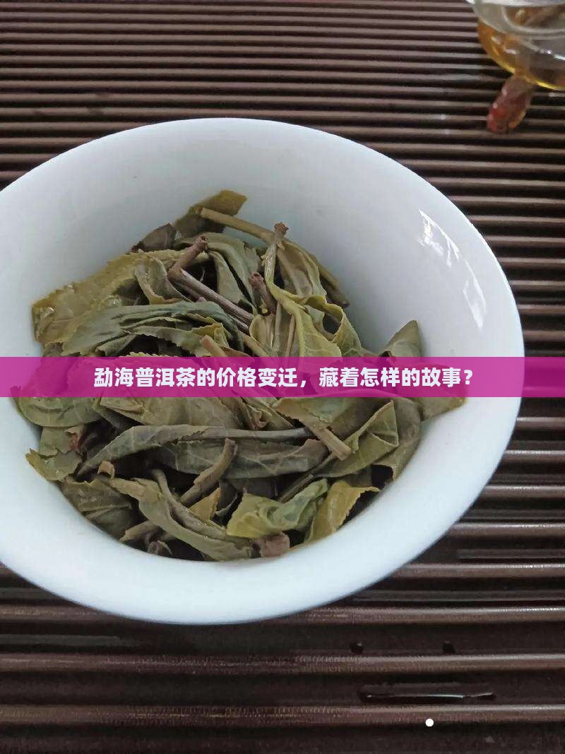 勐海普洱茶的价格变迁，藏着怎样的故事？