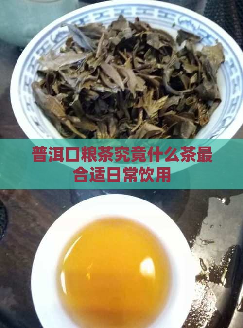 普洱口粮茶究竟什么茶最合适日常饮用
