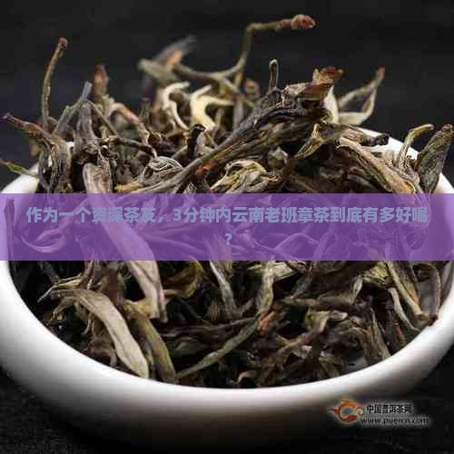 作为一个资深茶友，3分钟内云南老班章茶到底有多好喝？