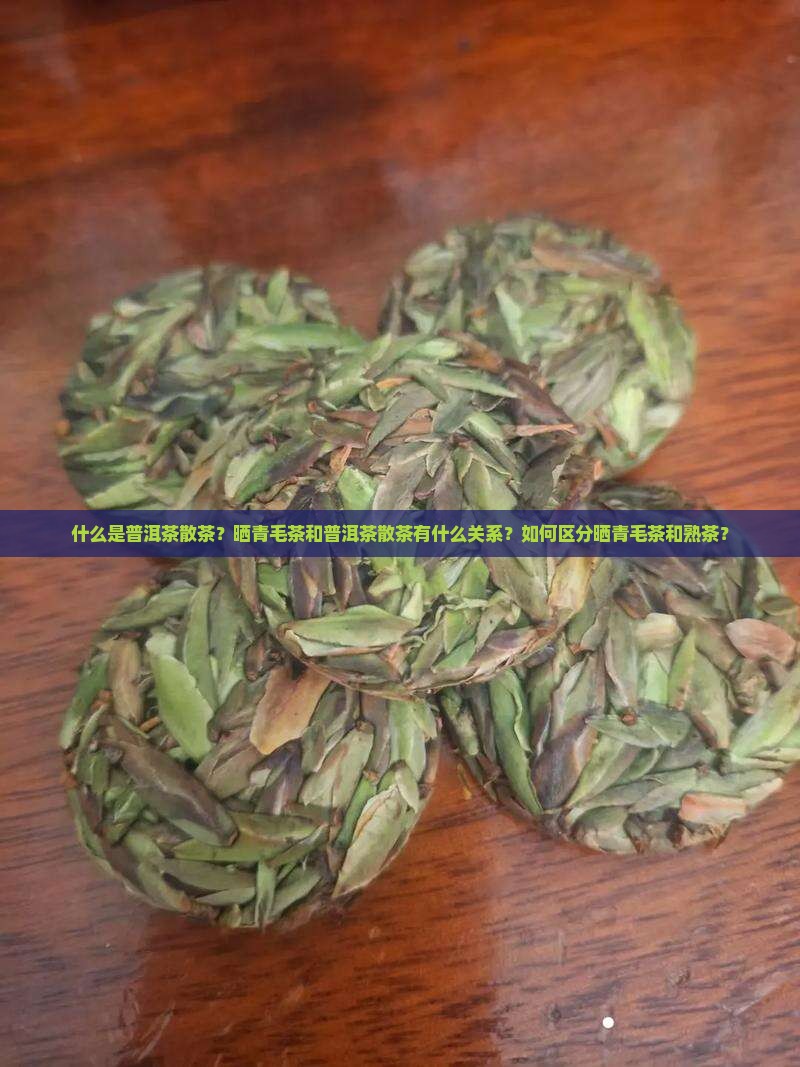 什么是普洱茶散茶？晒青毛茶和普洱茶散茶有什么关系？如何区分晒青毛茶和熟茶？