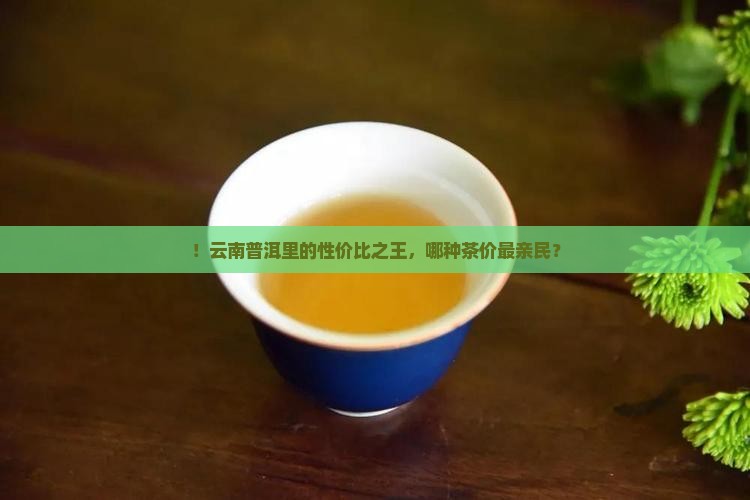 ！云南普洱里的性价比之王，哪种茶价最亲民？