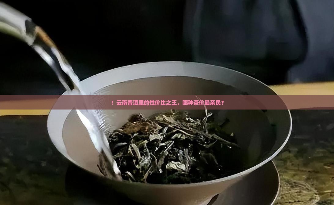 ！云南普洱里的性价比之王，哪种茶价最亲民？