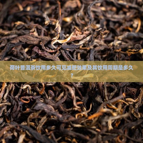 荷叶普洱茶饮用多久可见减肥效果及其饮用周期是多久？