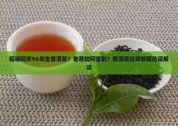 福禄同庆96年生普洱茶？老茶如何鉴别？普洱茶投资收藏热词解读