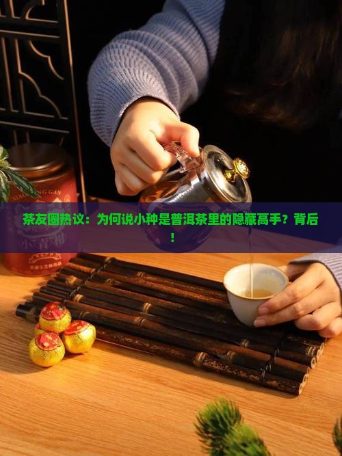 茶友圈热议：为何说小种是普洱茶里的隐藏高手？背后！