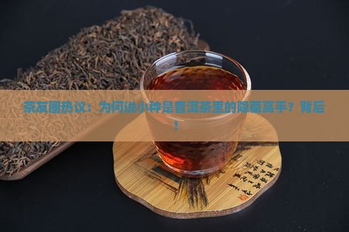 茶友圈热议：为何说小种是普洱茶里的隐藏高手？背后！