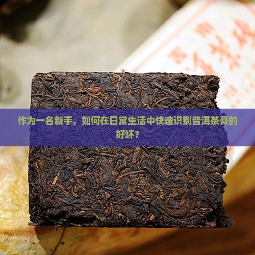 作为一名新手，如何在日常生活中快速识别普洱茶膏的好坏？
